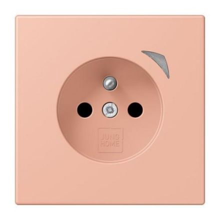 Jung BTLC1521FSE231 HOME Energy french socket