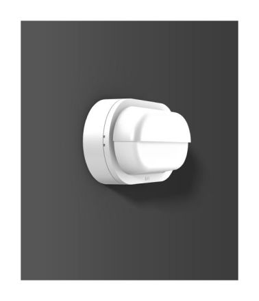 RZB 582065.002 Alu-Lux oval 8W 220lm 830 white LED wall light