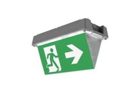 CEAG emergency light Atlantic LED D 1-8h/D CGLine+ H LED emergency light