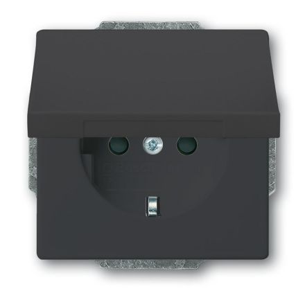 Busch-Jaeger 20 EUKBR-81 SCHUKO® socket insert, with hinged cover anthracite