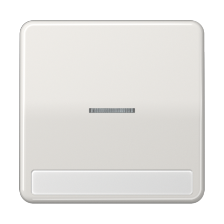 Jung CD590NAKO5LG rocker switch 1-way with light guide, with label field, Duroplast, CD series, light grey