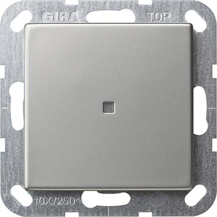 Gira 124600 push-button control switch AusWe straight System 55 stainless steel