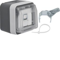 Berker 14093505 UAE socket 8-pin shielded with hinged cover AP grey/light grey matt Berker W.