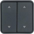 Berker 30653555 rocker 2f fW1 button-BA,bedr 4arrows,gr