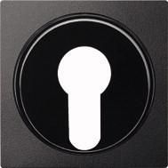 MERTEN 318114 central plate anthracite System M