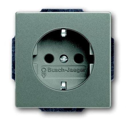 Busch-Jaeger 20 EUCKS-803 SCHUKO® socket insert, with increased contact protection, metallic grey