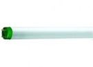 Philips 26861740 fluorescent lamp Master TL-D Eco 16W 840 1SL/25
