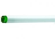 Philips 26861740 fluorescent lamp Master TL-D Eco 16W 840 1SL/25