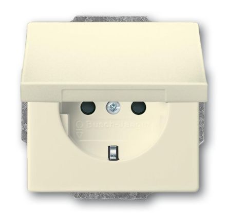 Busch-Jaeger 20 EUKBR-82 SCHUKO® socket insert, with hinged cover ivory/white