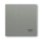 Busch-Jaeger 2520 LI-803 rocker with print grey metallic