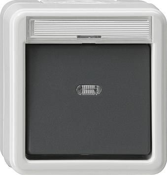 Gira 011630 rocker switch control change WG surface-mounted grey