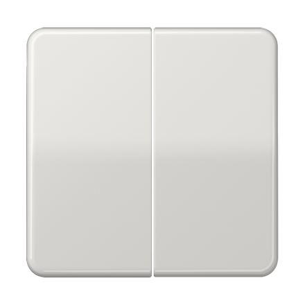 Jung CD595BFLG rocker switch 2-way, thermoplastic, CD series, light grey