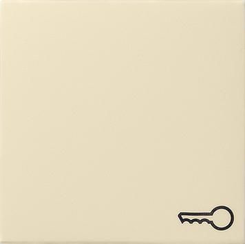Gira 028701 rocker symbol key system 55 cream white