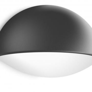 Philips 164079316 Dust 4W 270lm 2700K IP44 anthracite LED wall light