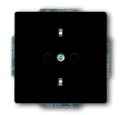 Busch-Jaeger 20 EUCKS-81 SCHUKO® socket insert, with increased contact protection anthracite