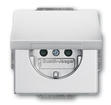 Busch-Jaeger 20 EUKBR-83 SCHUKO® socket insert, with hinged cover, aluminum silver