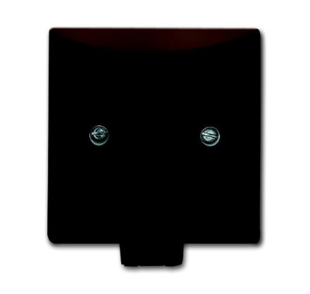 Busch-Jaeger 2133-31 central plate, with brown support ring