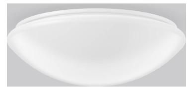 RZB 672425.002.7 Wall-ceiling Flat Polymero LED emergency light