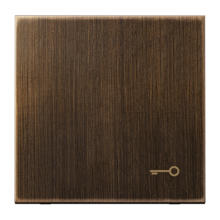 Jung ME2990TAT rocker switch, symbol door, brass, series LS, antique brass