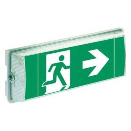CEAG emergency light ISO 7010 6811 1-8h/D LED CGLine+ LED self-contained light