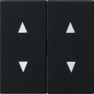 Gira 1150005 2-way arrow symbols System 55 sw rocker