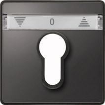 MERTEN 348214 central plate anthracite AQUADESIGN