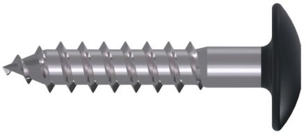 Reisser 000812V038-05505502-5 FPS facade panel screws, round head TX20, wood thread, TG, stainless steel A2, ETA, head lacquer. compare with Cedral C18 anthracite, 5.5 x 55, pack of 100 with bit