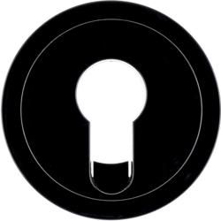 Berker 15072045 black glossy centre piece