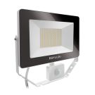 EsyLux EL10810763 AFL Basic 50W 4000K white LED spotlight