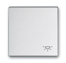 Busch-Jaeger 2520 LI-83 rocker with print aluminum silver