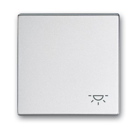 Busch-Jaeger 2520 LI-83 rocker with print aluminum silver