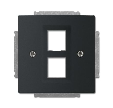 Busch-Jaeger 2561-02-885 central plate, with support ring black matt
