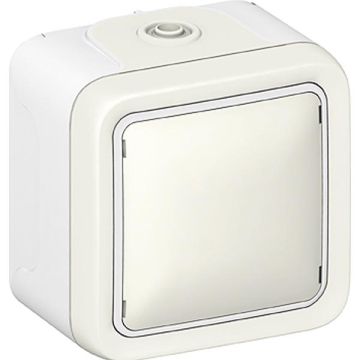 Legrand 069756 rocker switch Plexo IP55 69756 cross FR AP white, (grey)