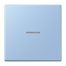 Jung BTLC17101207 JUNG HOME button 1-way, LS series, outer middle ( LC32021 )