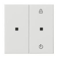 Gira 549303 rocker switch radio bus rws glz Kst Thermopl
