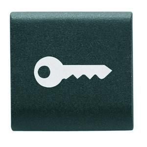 Gewiss GW12543 interchangeable 22x22 key black button