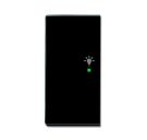 Busch-Jaeger 6231-21-81 rocker switch, 2-way left, with symbol 'light' anthracite