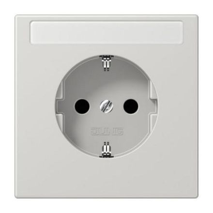 Jung LS1520NKINALG SCHUKO socket, 16 A 250 V ~, without claws, with label field, integrated increased contact protection, SAFETY+, Duroplast, LS series, light grey