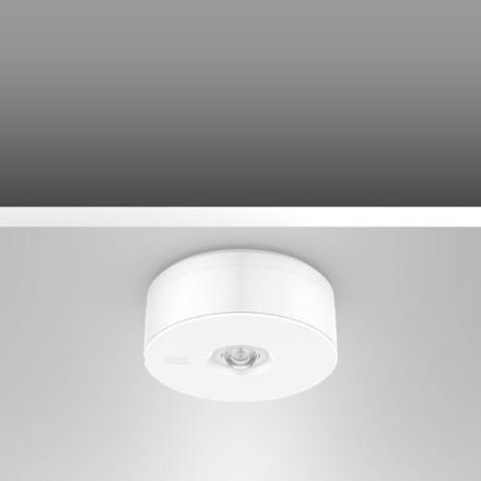 RZB 672529.002 Ceiling Lucio 4.6W 4000K LED emergency light