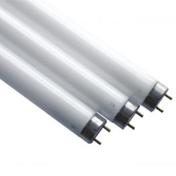 Scharnberger & Hasenbein 44183 T8 18W G13 UV 26x590mm fluorescent lamp