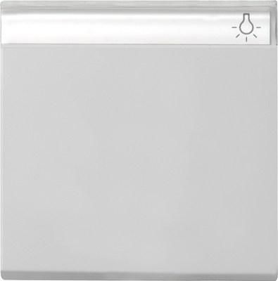 Gira 0299015 BSF Sys 55 grey rocker