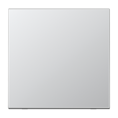 Jung AL1700 LB-Management button 1-way, neutral, aluminium AlMg1 natural tone, matt stained, LS series, aluminium