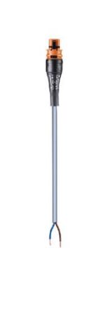 Wieland 96.223.2098.4 RST20I2K1-S325OL 20BR01 Assembled cable