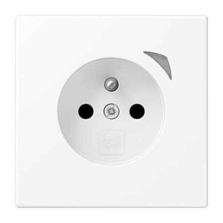 Jung BTLS1521FSWWM HOME franz belg socket