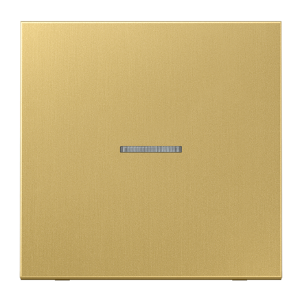 Jung ME2990KO5C rocker 1-way with light guide, brass, LS series, brass classic