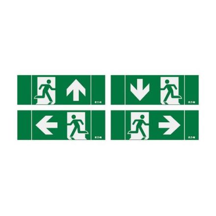 CEAG emergency light FT1-4I FT1 EW 4 pictograms (DLRU) ISO LED emergency light