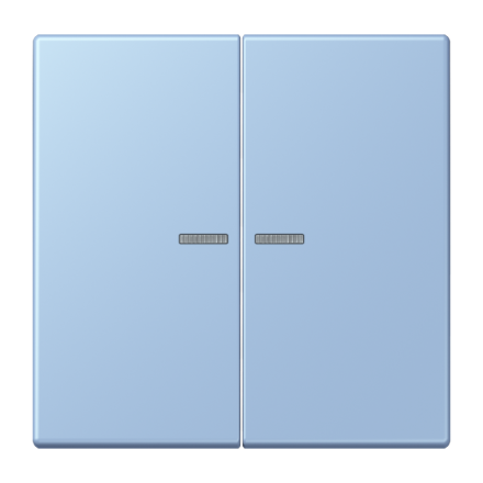Jung BTLC17102207 JUNG HOME button 2-way, LS series, outer middle ( LC32021 )
