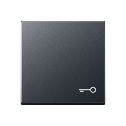Jung A590BFTANM rocker switch, symbol door, thermoplastic lacquered, series A, anthracite matt