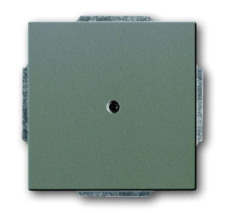Busch-Jaeger 1749-803 central plate, with support ring grey metallic