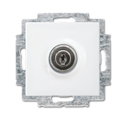 Busch-Jaeger 20 EUKBSL-914-101 SCHUKO® socket insert, with hinged lid and lock alpine white